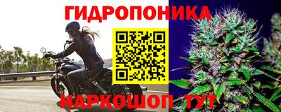амф Коммунар