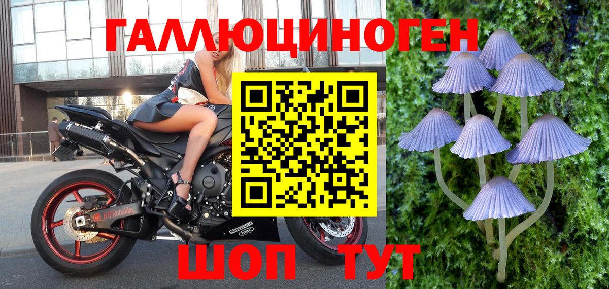 Псилоцибиновые грибы GOLDEN TEACHER Изобильный
