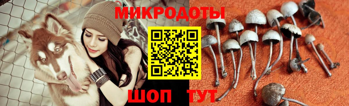 Галлюциногенные грибы ЛСД  Вход с VPN  Галлюциногенные грибы Psilocybe  Изобильный 